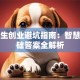 大学生创业避坑指南：智慧树基础答案全解析