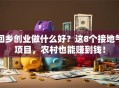 回乡创业做什么好？这8个接地气项目，农村也能赚到钱！