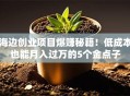 海边创业项目爆赚秘籍！低成本也能月入过万的5个金点子