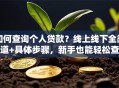 如何查询个人贷款？线上线下全渠道+具体步骤，新手也能轻松查