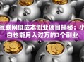 互联网低成本创业项目揭秘：小白也能月入过万的3个副业