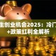 大学生创业机会2025：冷门赛道+政策红利全解析