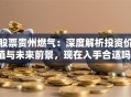 股票贵州燃气：深度解析投资价值与未来前景，现在入手合适吗？