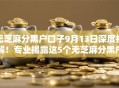 无芝麻分黑户口子9月13日深度拆解！专业揭露这5个无芝麻分黑户口子借钱口子