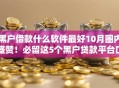 黑户借款什么软件最好10月圈内盛赞！必留这5个黑户贷款平台口子最好用