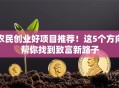 农民创业好项目推荐！这5个方向帮你找到致富新路子