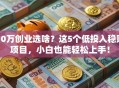 10万创业选啥？这5个低投入稳赚项目，小白也能轻松上手！