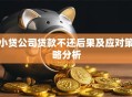 小贷公司贷款不还后果及应对策略分析
