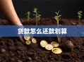 贷款怎么还款划算