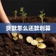 贷款怎么还款划算