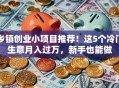 乡镇创业小项目推荐！这5个冷门生意月入过万，新手也能做