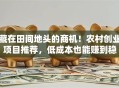 藏在田间地头的商机！农村创业项目推荐，低成本也能赚到稳