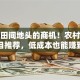 藏在田间地头的商机！农村创业项目推荐，低成本也能赚到稳
