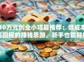 10万元创业小项目推荐：低成本高回报的赚钱思路，新手也能轻松上手！