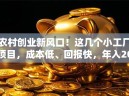 农村创业新风口！这几个小工厂项目，成本低、回报快，年入20万不难？