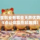 大学生创业有哪些天然优势？这5点让你赢在起跑线！