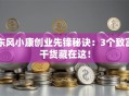 东风小康创业先锋秘诀：3个致富干货藏在这！