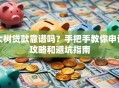 大树贷款靠谱吗？手把手教你申请攻略和避坑指南