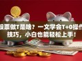 股票做T是啥？一文学会T+0操作技巧，小白也能轻松上手！