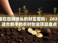 藏在田间地头的财富密码：2025适合新手的农村创业项目盘点