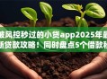 被风控秒过的小贷app2025年最新贷款攻略！同时盘点5个借款秒过的小贷软件
