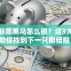 暴涨股票黑马怎么抓？这3大秘籍助你找到下一只翻倍股！