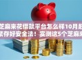 芝麻来花借款平台怎么样10月赶紧存好安全法！实测这5个芝麻来花网贷口子靠谱软件