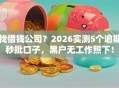 找借钱公司？2026实测5个逾期秒批口子，黑户无工作照下！