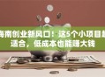 海南创业新风口！这5个小项目超适合，低成本也能赚大钱