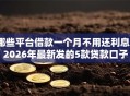 哪些平台借款一个月不用还利息？2026年最新发的5款贷款口子