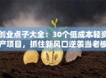 创业点子大全：30个低成本轻资产项目，抓住新风口逆袭当老板！