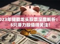 2023年储能龙头股票深度解析：这5只潜力股值得关注！
