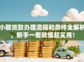 小额贷款办理流程和条件全解析，新手一看就懂超实用！