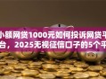 小额网贷1000元如何投诉网贷平台，2025无视征信口子的5个平台介绍