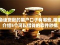 急速贷款的黑户口子有哪些,隆重介绍5个可以借钱的软件秒批