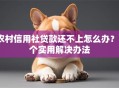 农村信用社贷款还不上怎么办？5个实用解决办法