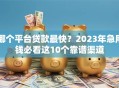 哪个平台贷款最快？2023年急用钱必看这10个靠谱渠道