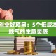县城创业好项目：5个低成本且接地气的生意灵感