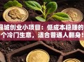 县城创业小项目：低成本稳赚的7个冷门生意，适合普通人翻身！