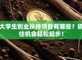 大学生创业扶持项目有哪些？抓住机会轻松起步！