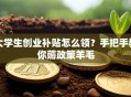 大学生创业补贴怎么领？手把手教你薅政策羊毛