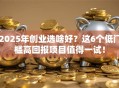 2025年创业选啥好？这6个低门槛高回报项目值得一试！