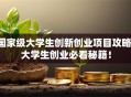 国家级大学生创新创业项目攻略：大学生创业必看秘籍！