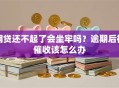 网贷还不起了会坐牢吗？逾期后被催收该怎么办