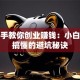 手把手教你创业赚钱：小白也能搞懂的避坑秘诀