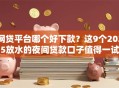 网贷平台哪个好下款？这9个2025放水的夜间贷款口子值得一试