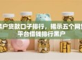 黑户贷款口子排行，揭示五个网贷平台借钱排行黑户