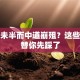 创业未半而中道崩殂？这些坑我替你先踩了