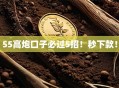 55高炮口子必过5招！秒下款！