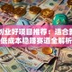 十大创业好项目推荐：适合新手的低成本稳赚赛道全解析